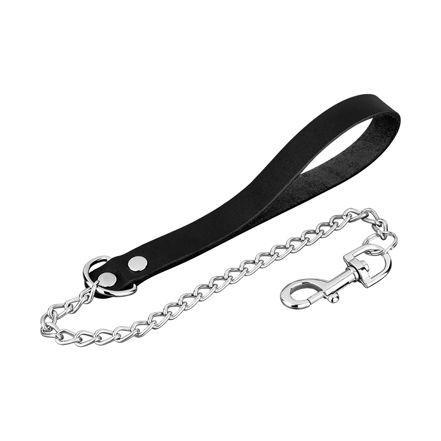 Kurze Leine mit Metallkette Kurze Leine mit Metallkette