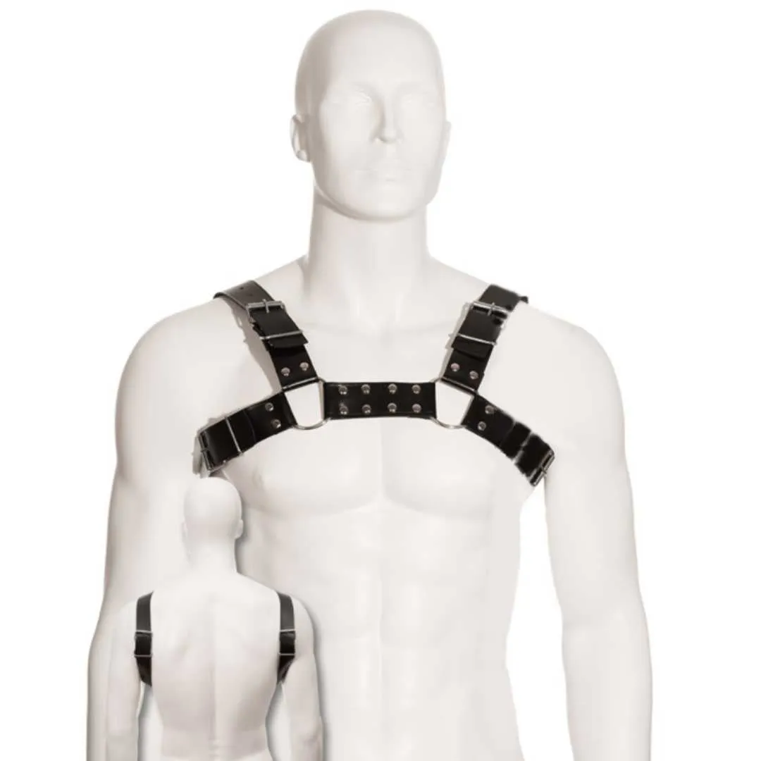 Brustharness aus Leder Brustharness aus Leder