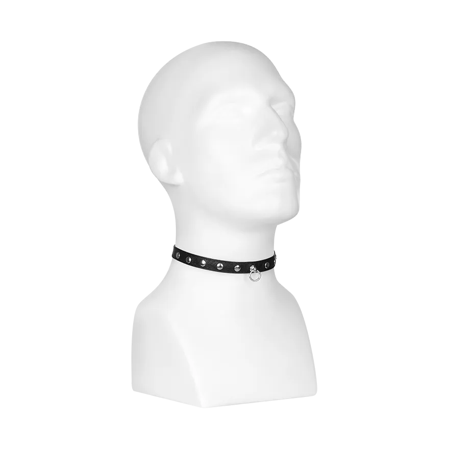 Nietenhalsband Nietenhalsband
