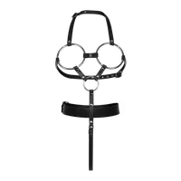 Laszives Leder-Geschirr Laszives Leder-Geschirr