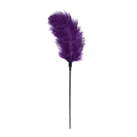 Federkitzler in violett Federkitzler in violett