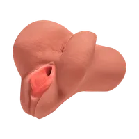 Pleasure Stroker, 16,5 cm Pleasure Stroker, 16,5 cm