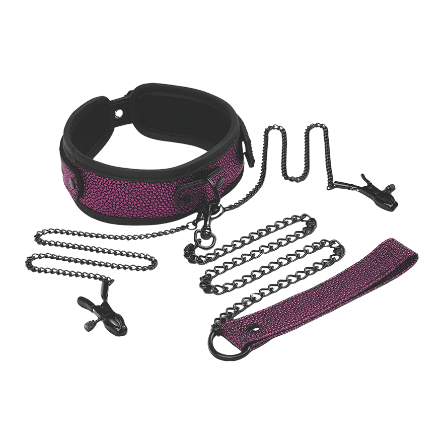 Collar, Leash & Nipple Clips Set Collar, Leash & Nipple Clips Set