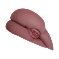 Ana Fox Side Stroker Ana Fox Side Stroker