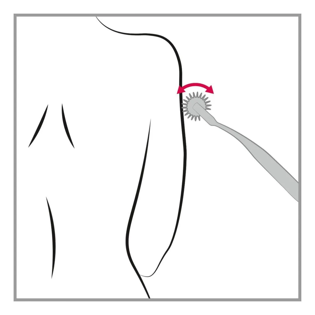 Nervenrad „Pin Wheel“ aus verchromten Messing – Bild 4