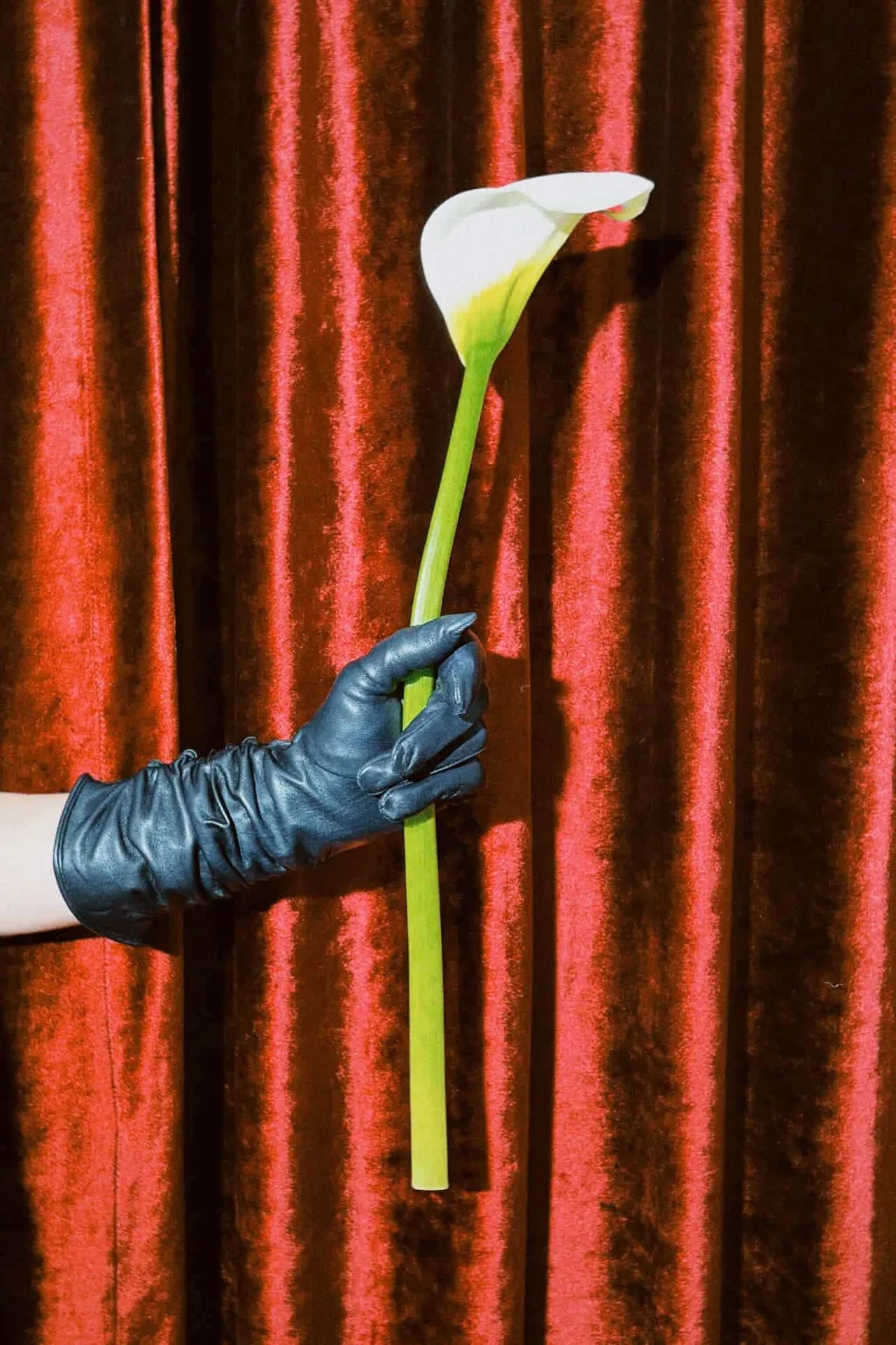 Elif Domanic - Roxy Handschuhe Größe XS – Bild 3