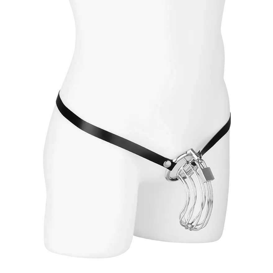 Peniskäfig mit Gürtel und Schloss Peniskäfig mit Gürtel und Schloss