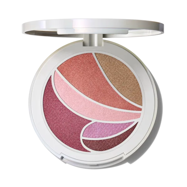 MAC Cosmetics Metamorphosis Face & Eye Palette / Metamorphosis Collection MAC Cosmetics Metamorphosis Face & Eye Palette / Metamorphosis Collection