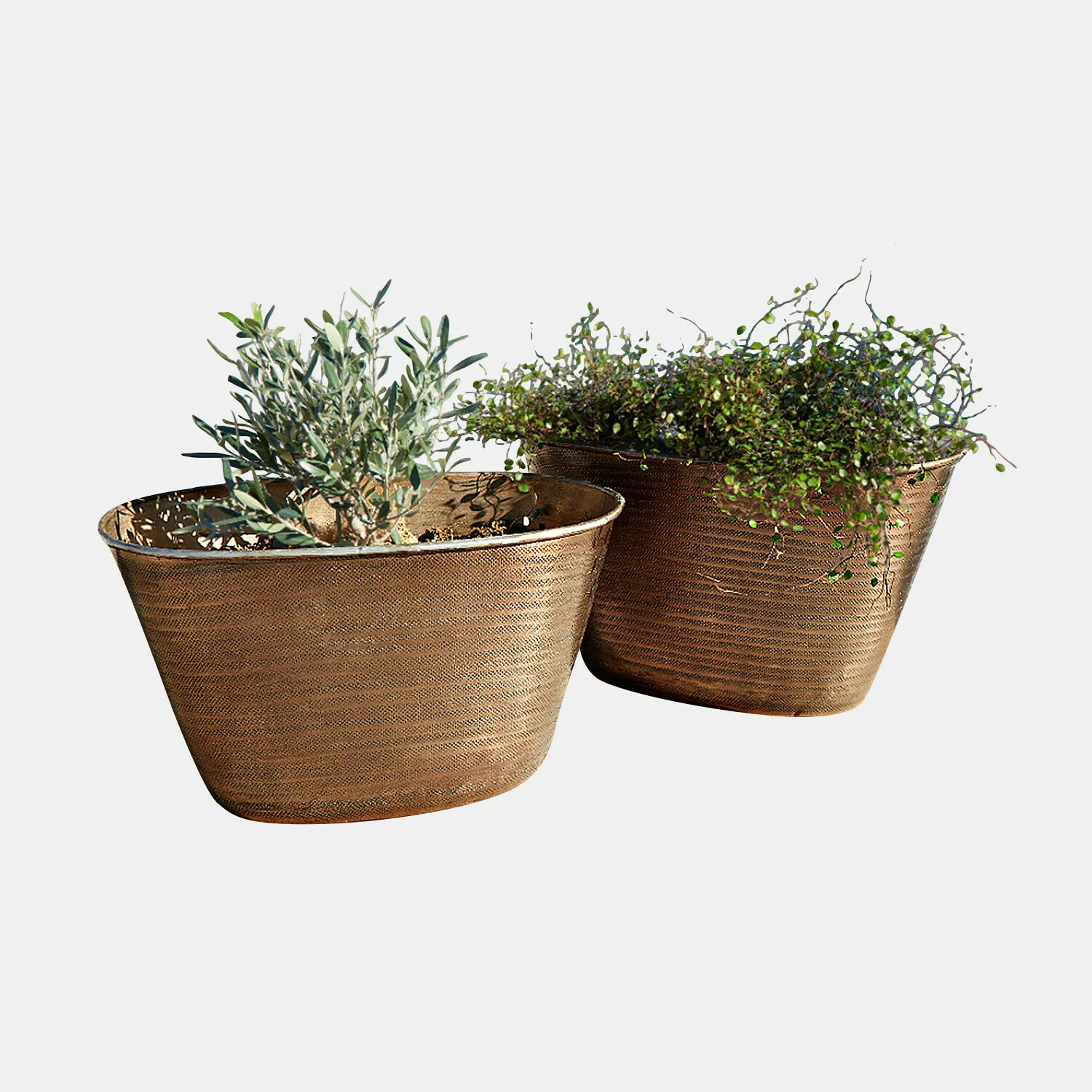 Übertopf 2er Set Rinalo – Bild 3