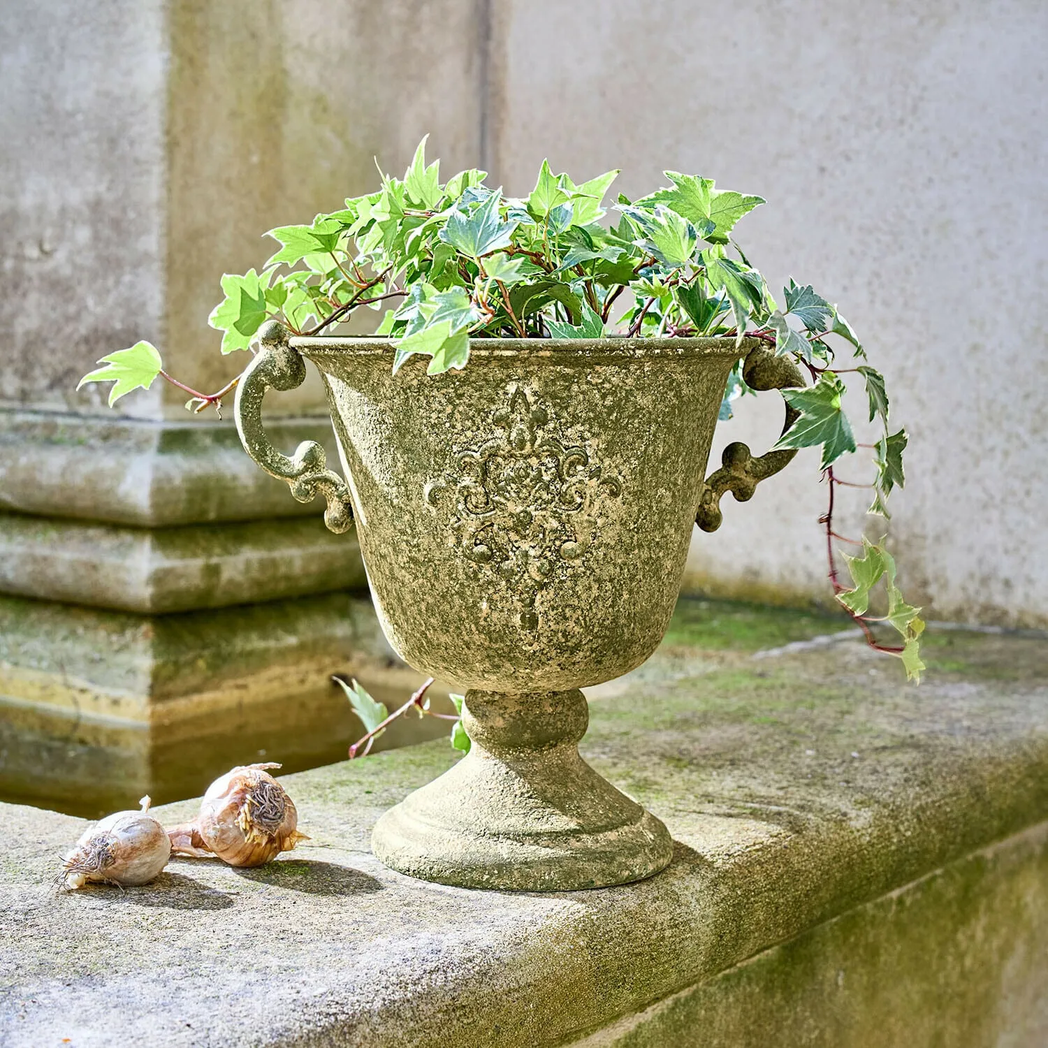 Amphore Ivyridge – Bild 2