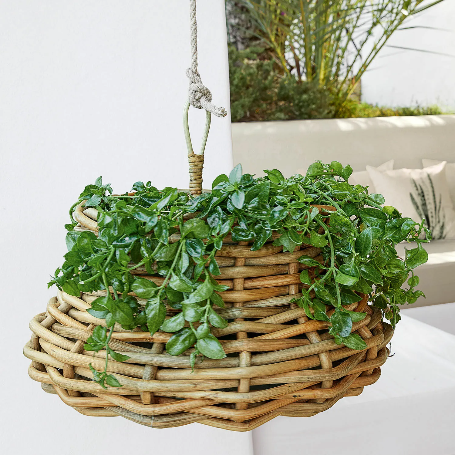 Hängekorb Villaz – Bild 2