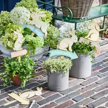 Schild 5er Set Shevona Schild 5er Set Shevona