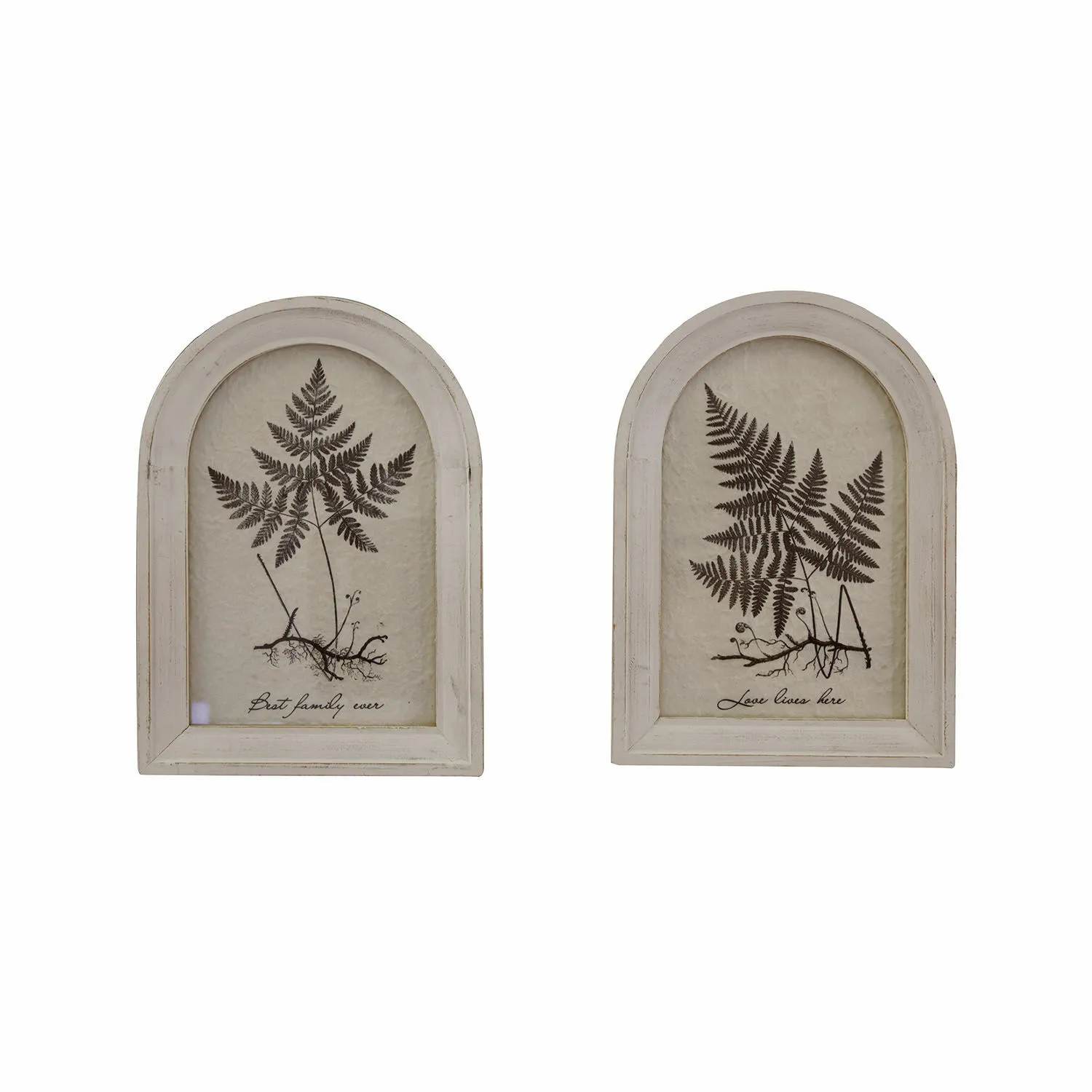 Bild 2er Set Movirex – Bild 3