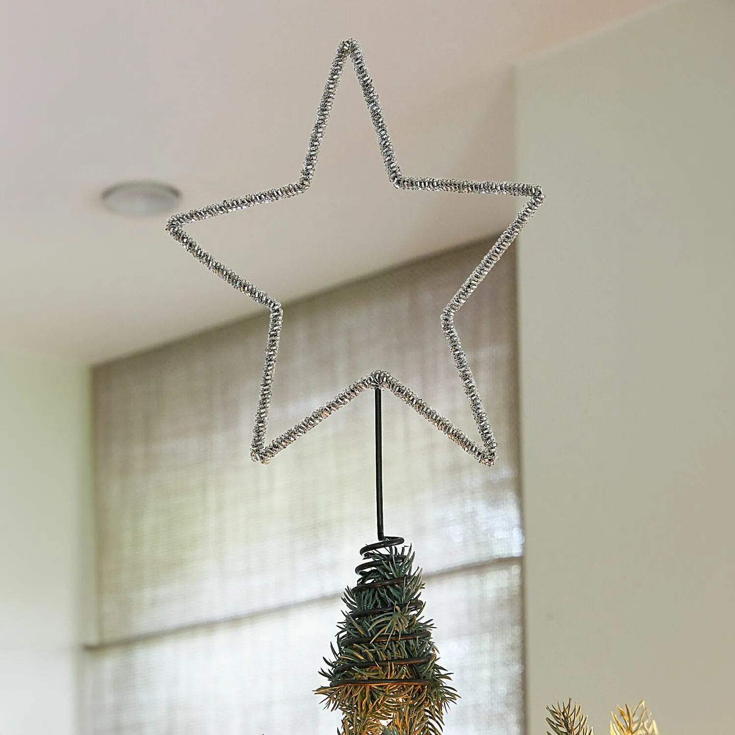 Baumspitze Nobiletto – Bild 4