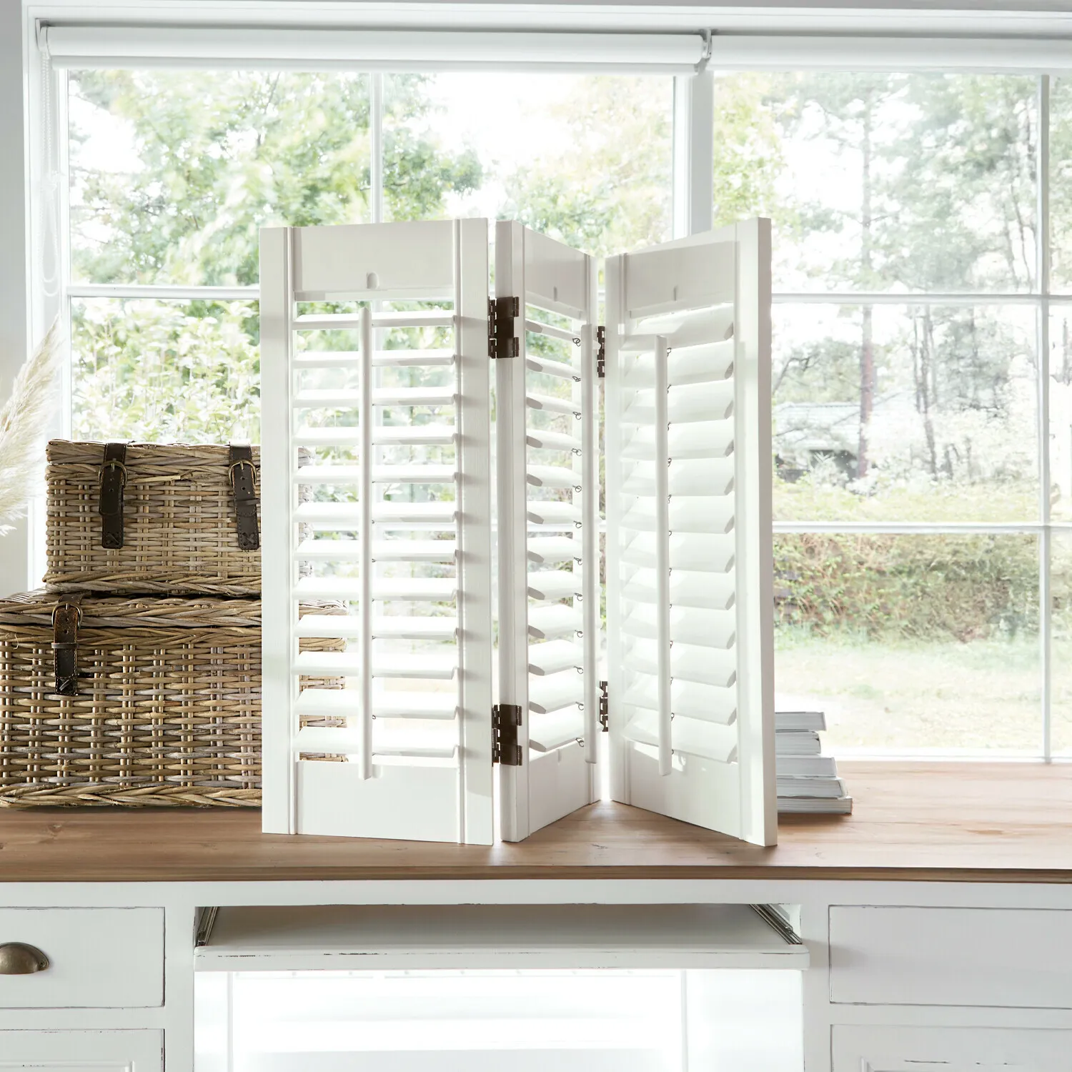 Shutter Ventura – Bild 4