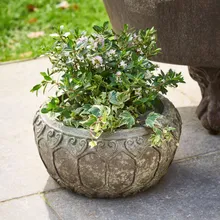 Übertopf Sordelia Übertopf Sordelia