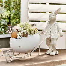 Hase Jaris Hase Jaris