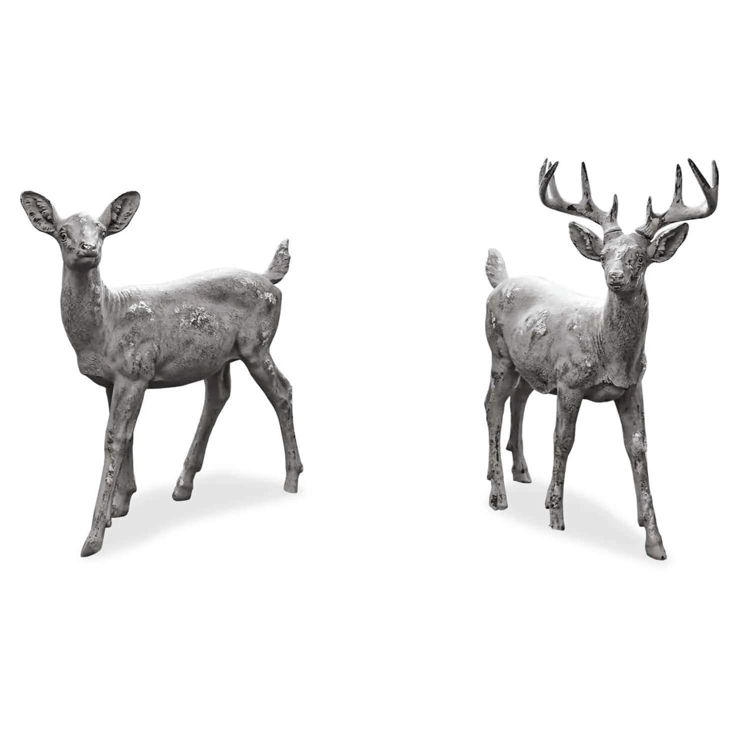 Hirsch + Reh Pasly – Bild 3