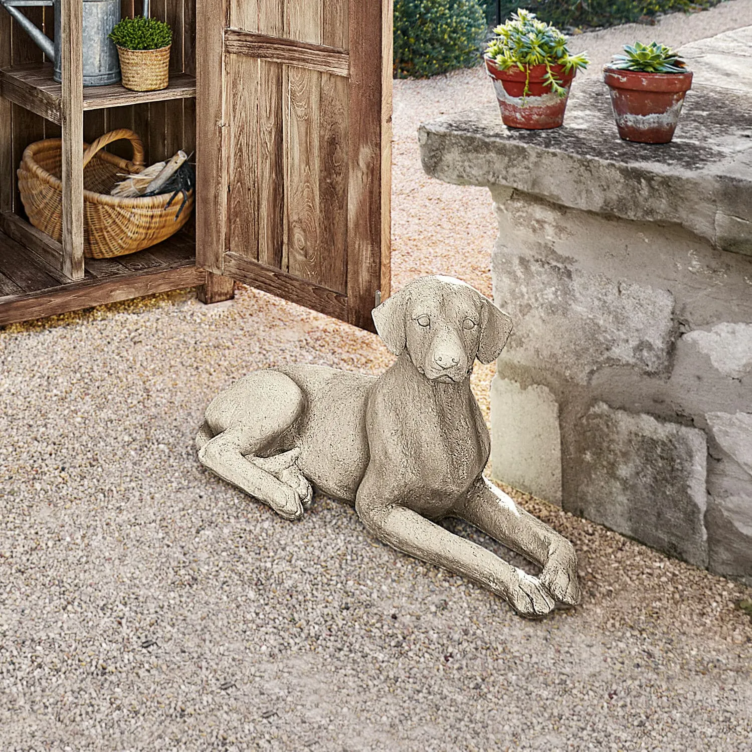 Hund Socrate – Bild 4