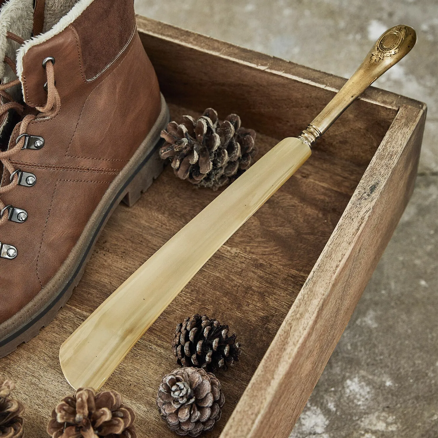 Schuhlöffel Charles – Bild 2