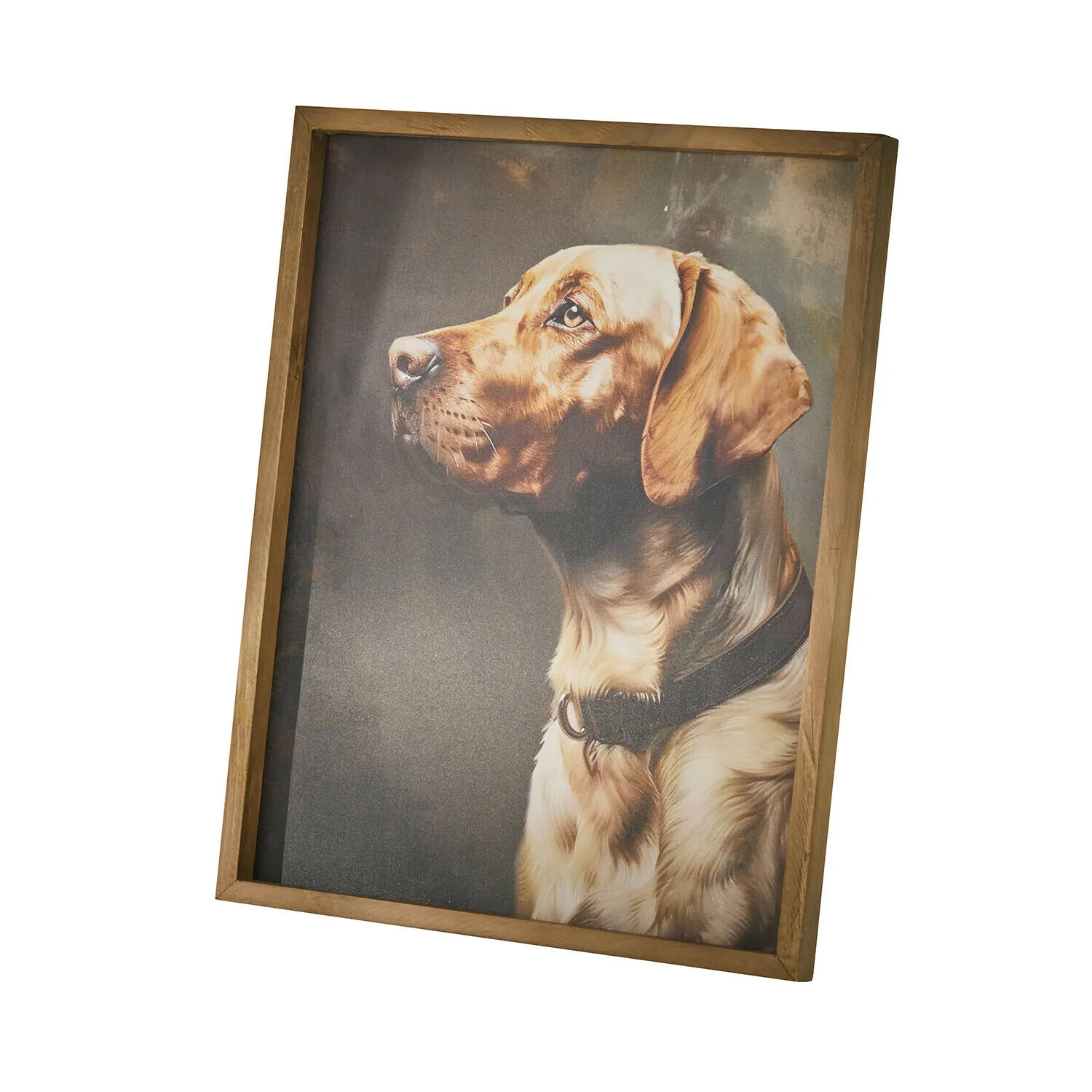 Bild Purrana – Bild 3