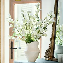 Blume 6er Set Clavigny Blume 6er Set Clavigny