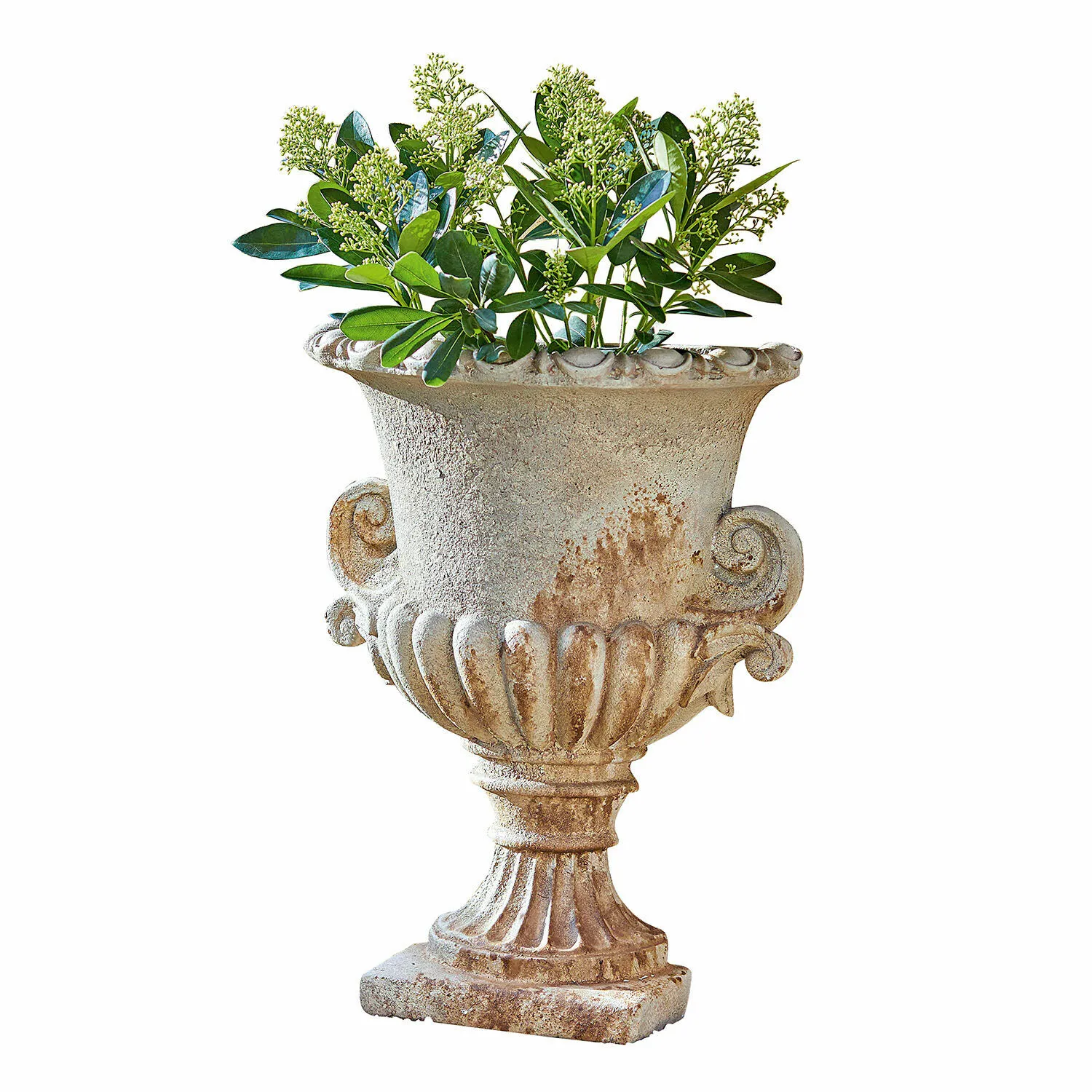 Amphore Cevio – Bild 3