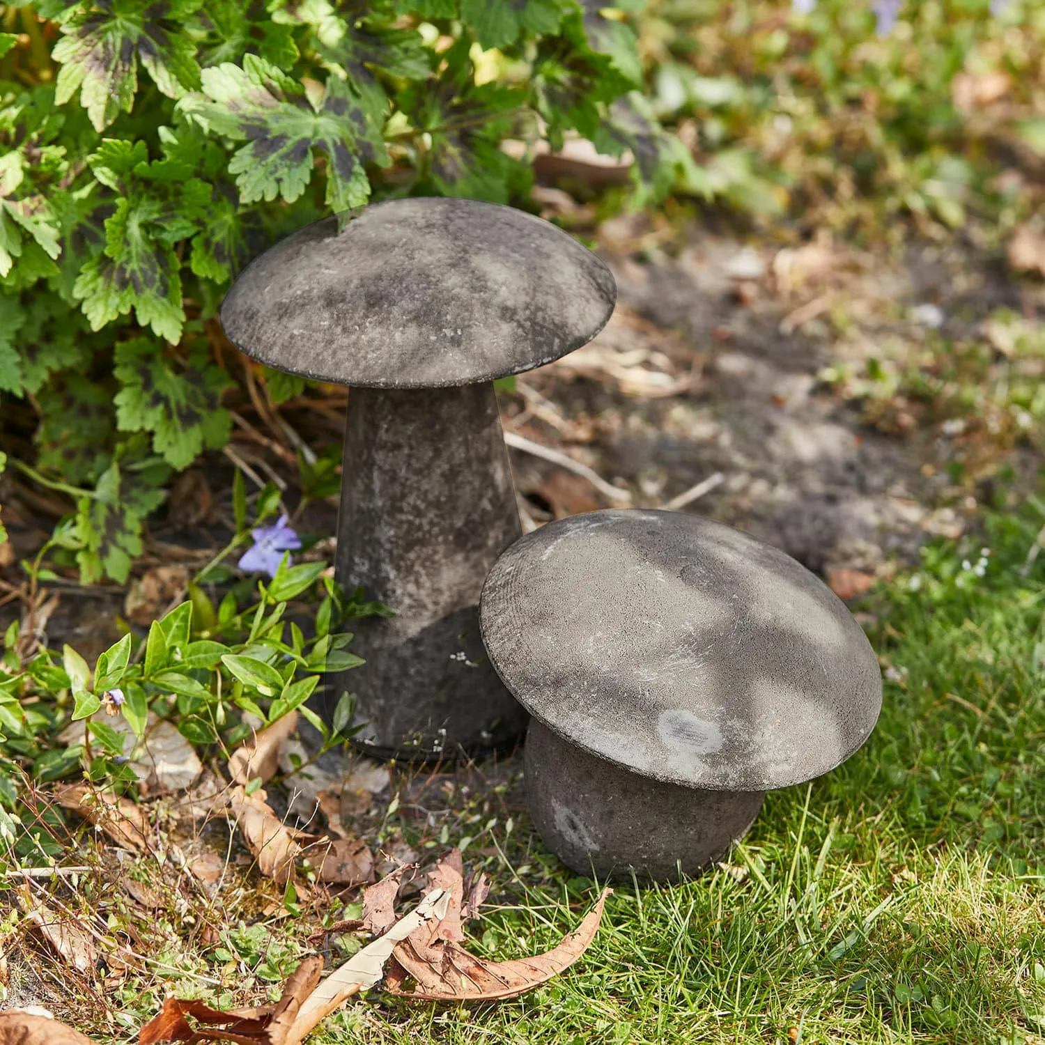 Deko-Pilz 2er Set Coudrelle – Bild 2