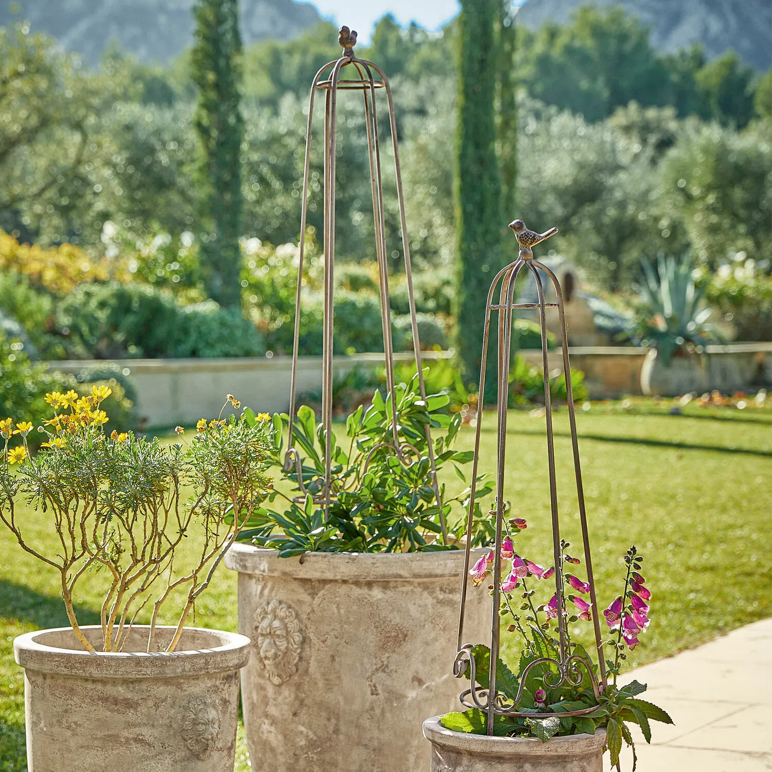 Rankhilfe 2er Set Orianne – Bild 4