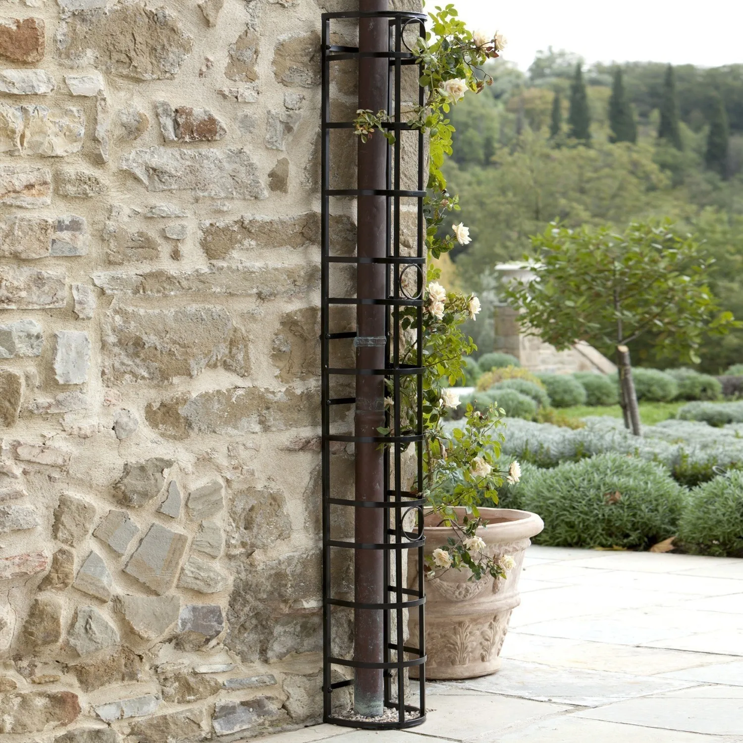 Rankgitter Vitot – Bild 2