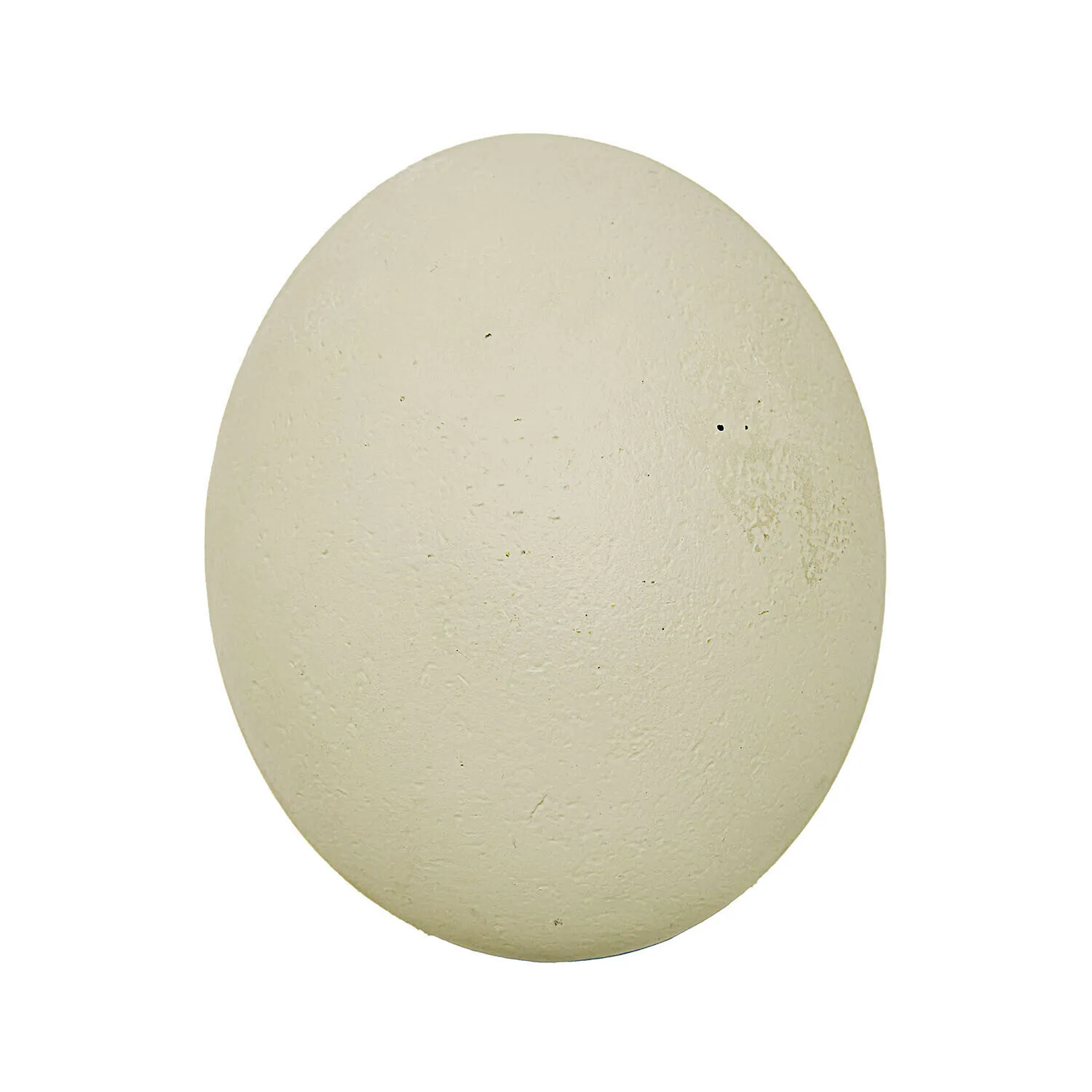 Deko-Ei Fauverine – Bild 3