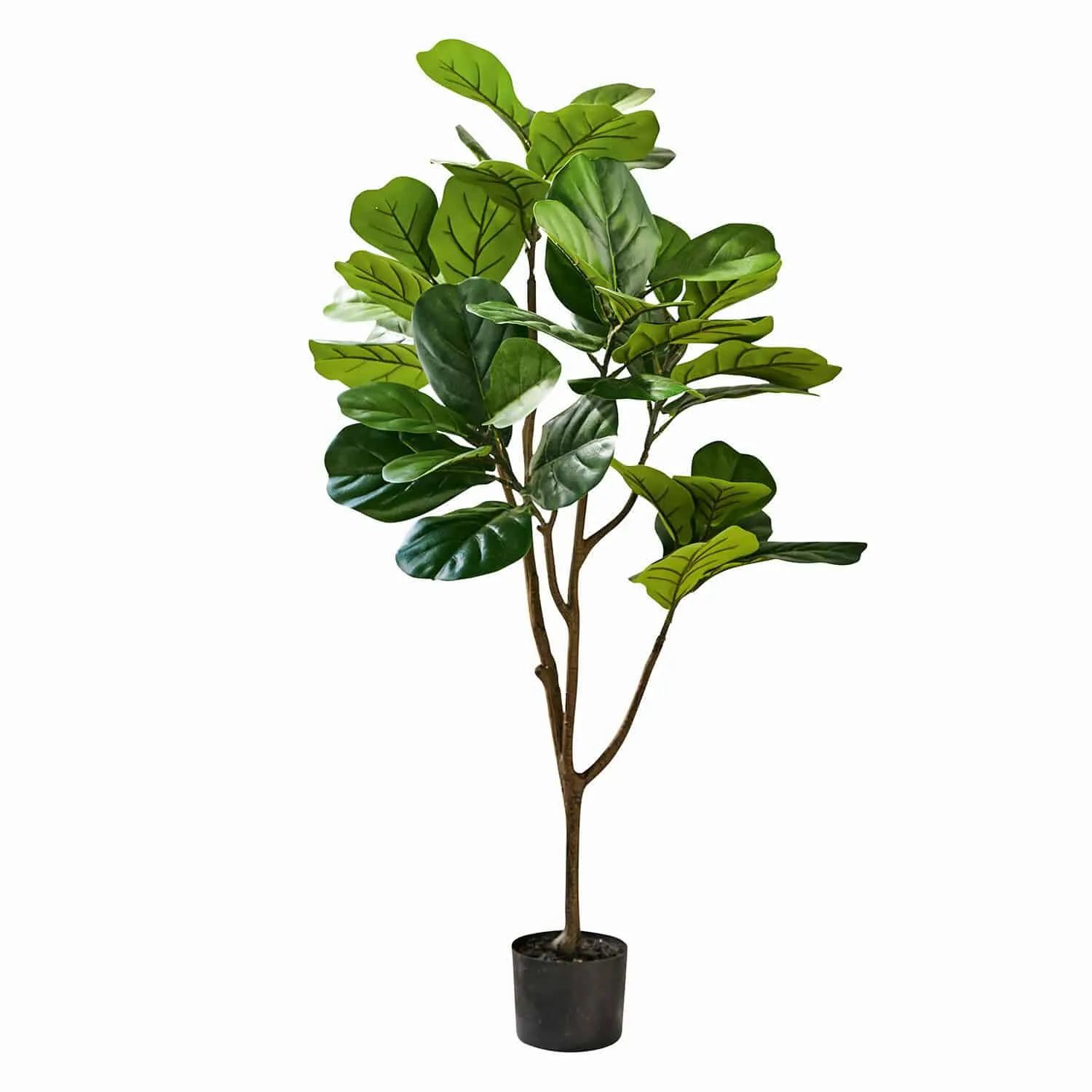 Deko-Topfpflanze Evolet – Bild 3