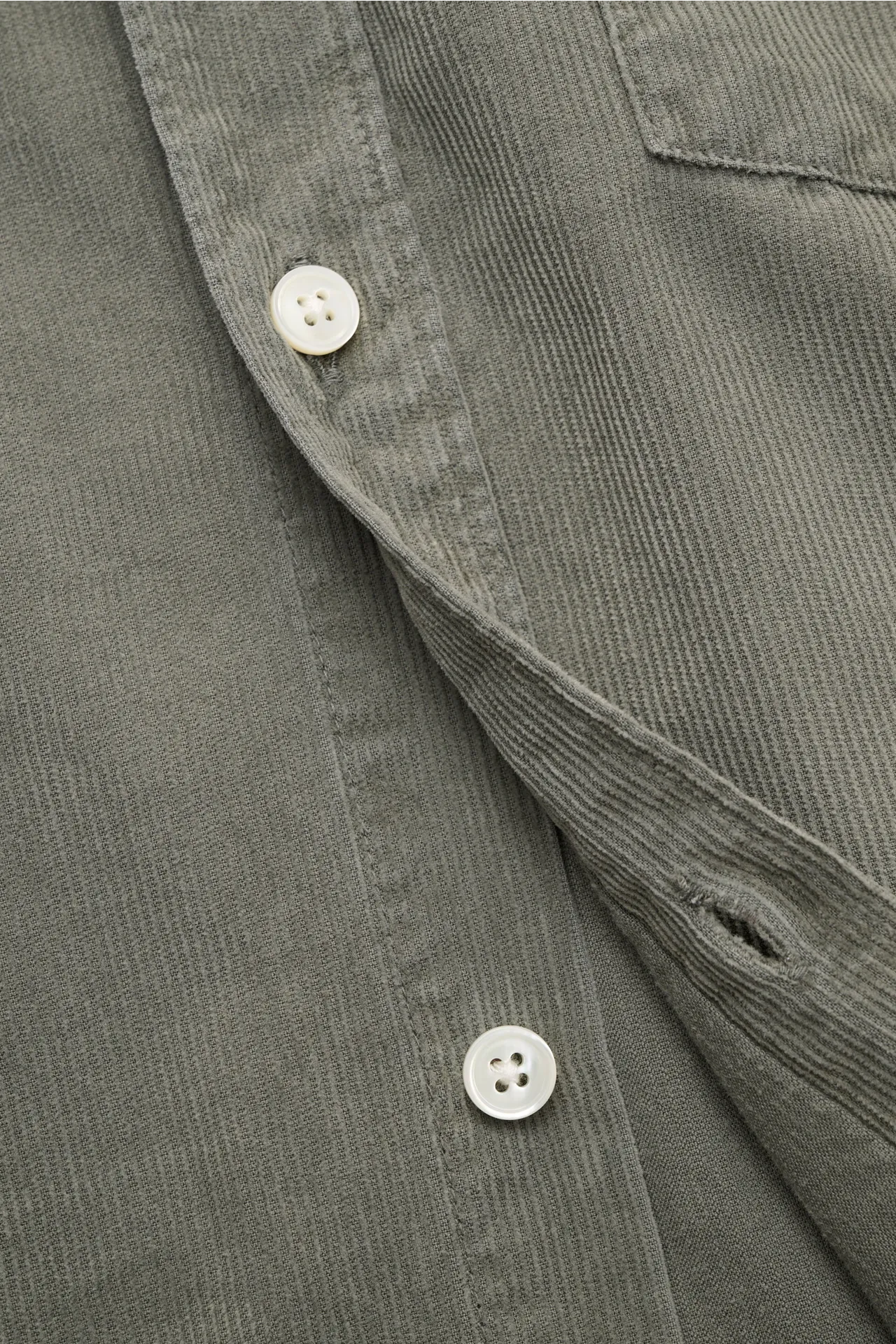 Closed - Herren - Cordhemd Button-Down-Kragen graugrün – Bild 4