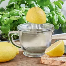 Zitronenpresse Cindy Zitronenpresse Cindy