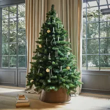 Weihnachtsbaum Bryndis Weihnachtsbaum Bryndis