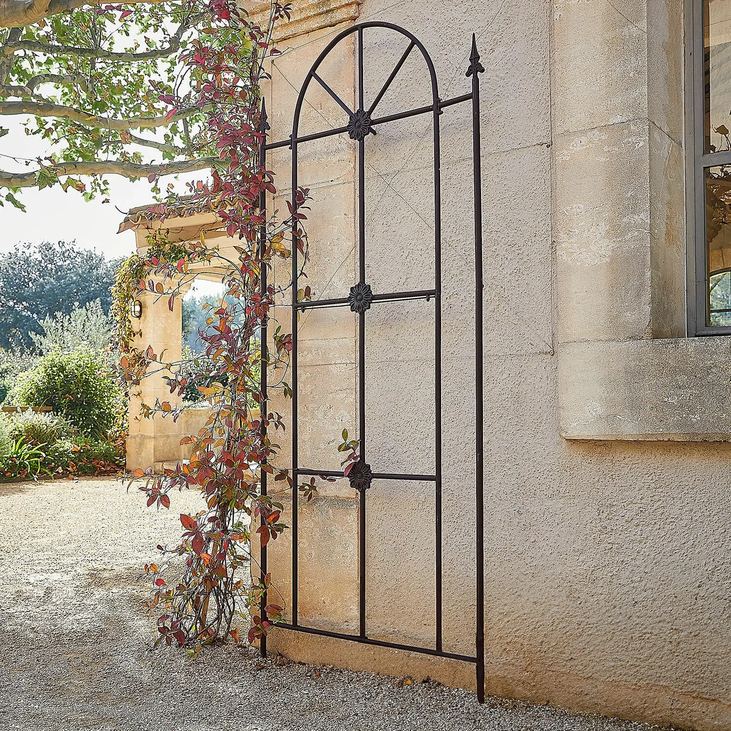 Rankhilfe Silvexon – Bild 2