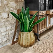 Übertopf Havelle Übertopf Havelle