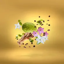 Xerjoff Uden Overdose Eau De Parfum Spray 50ml Xerjoff Uden Overdose Eau De Parfum Spray 50ml