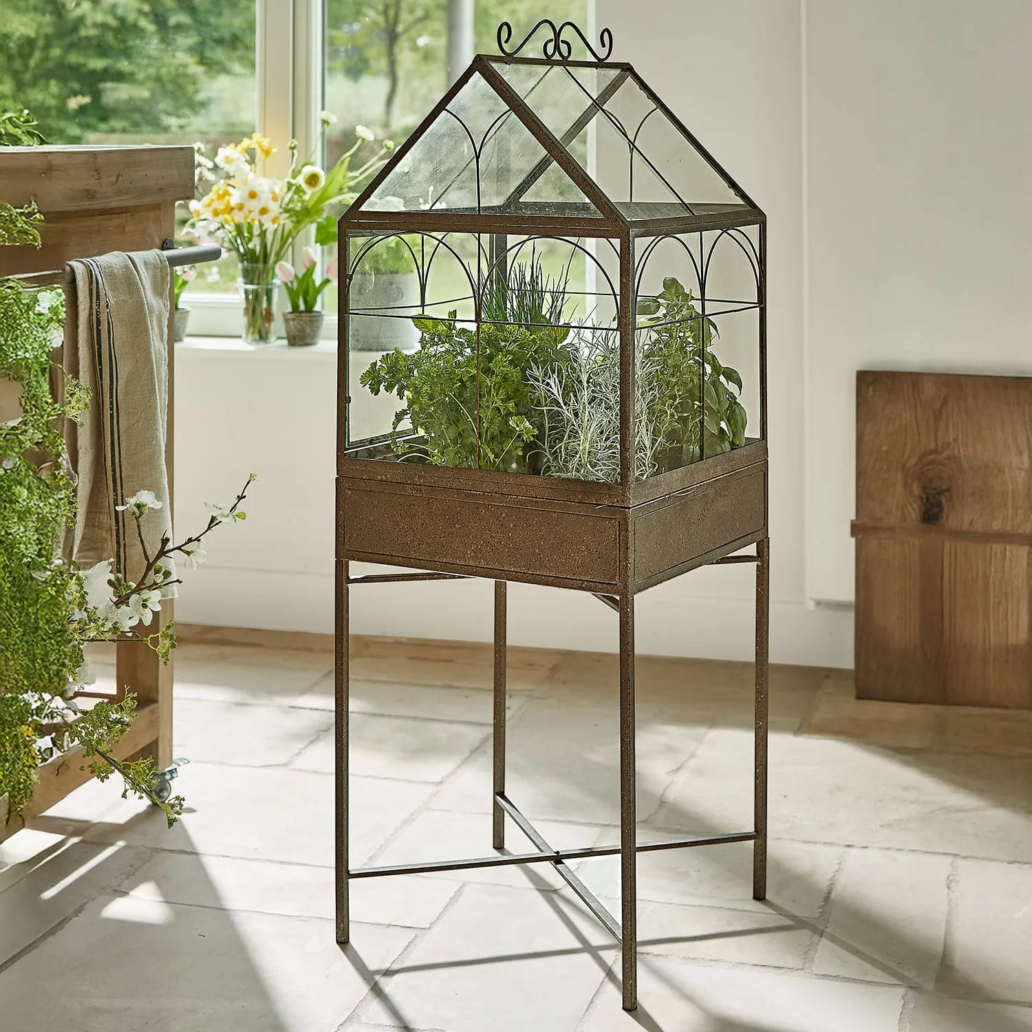 Gewächshaus Fixerno – Bild 4