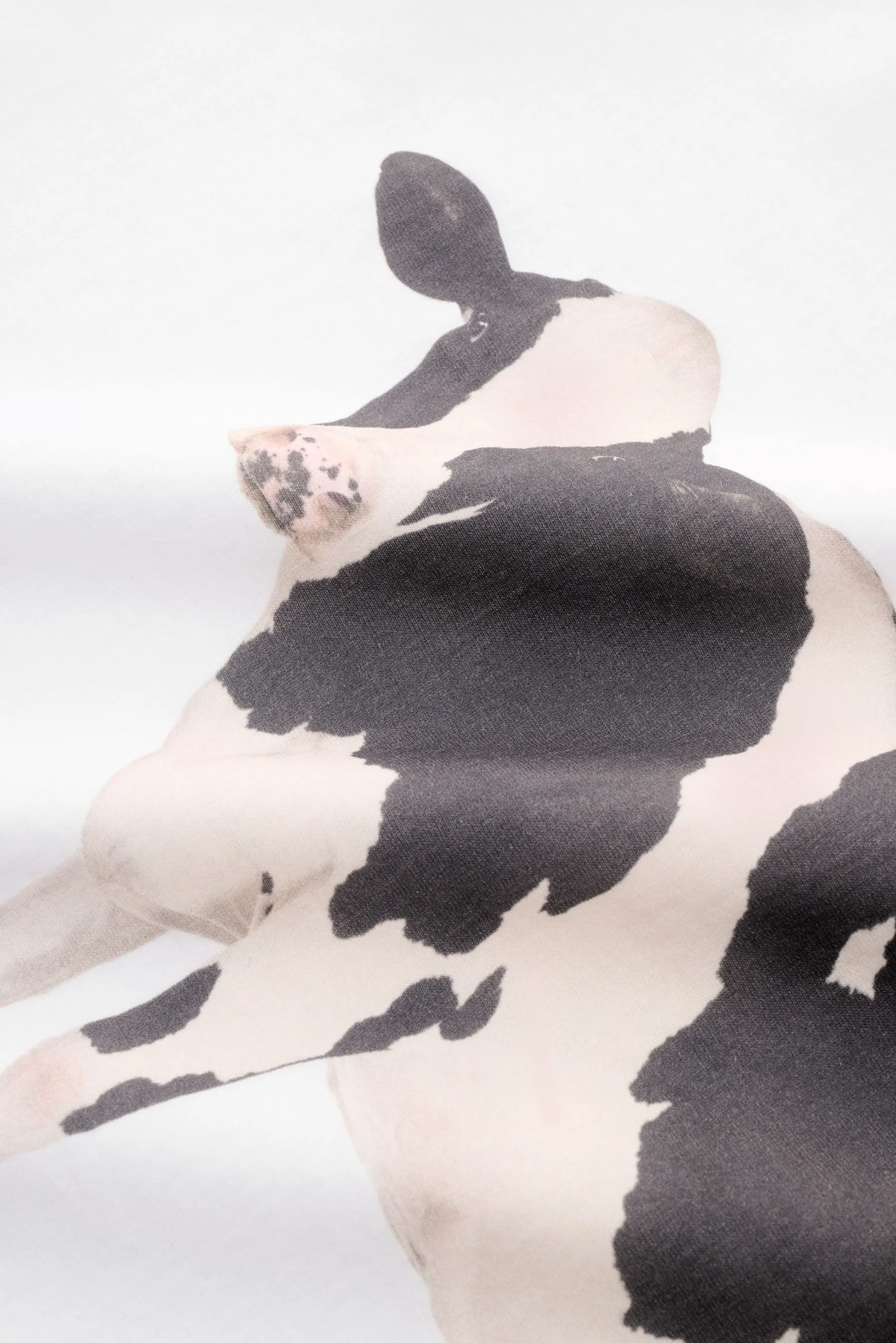 Barbour - Herren - Rundhals-T-Shirt weiß – Bild 4