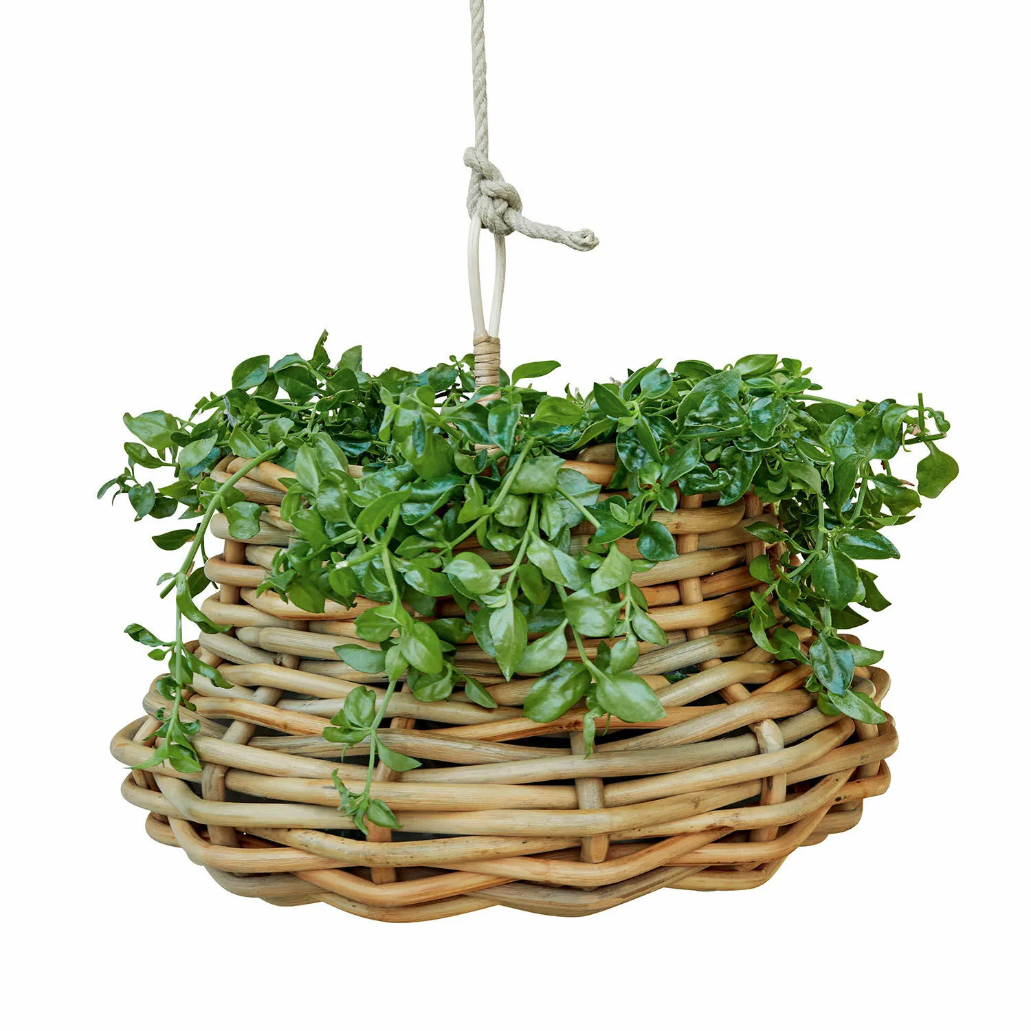 Hängekorb Villaz – Bild 3