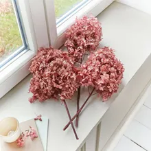 Trockenblume 3er Set Amélorie Trockenblume 3er Set Amélorie