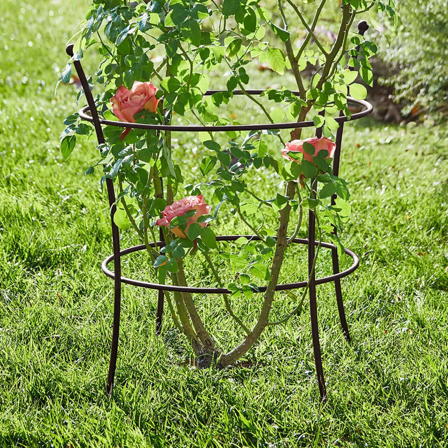 Rankgitter Hearne – Bild 2