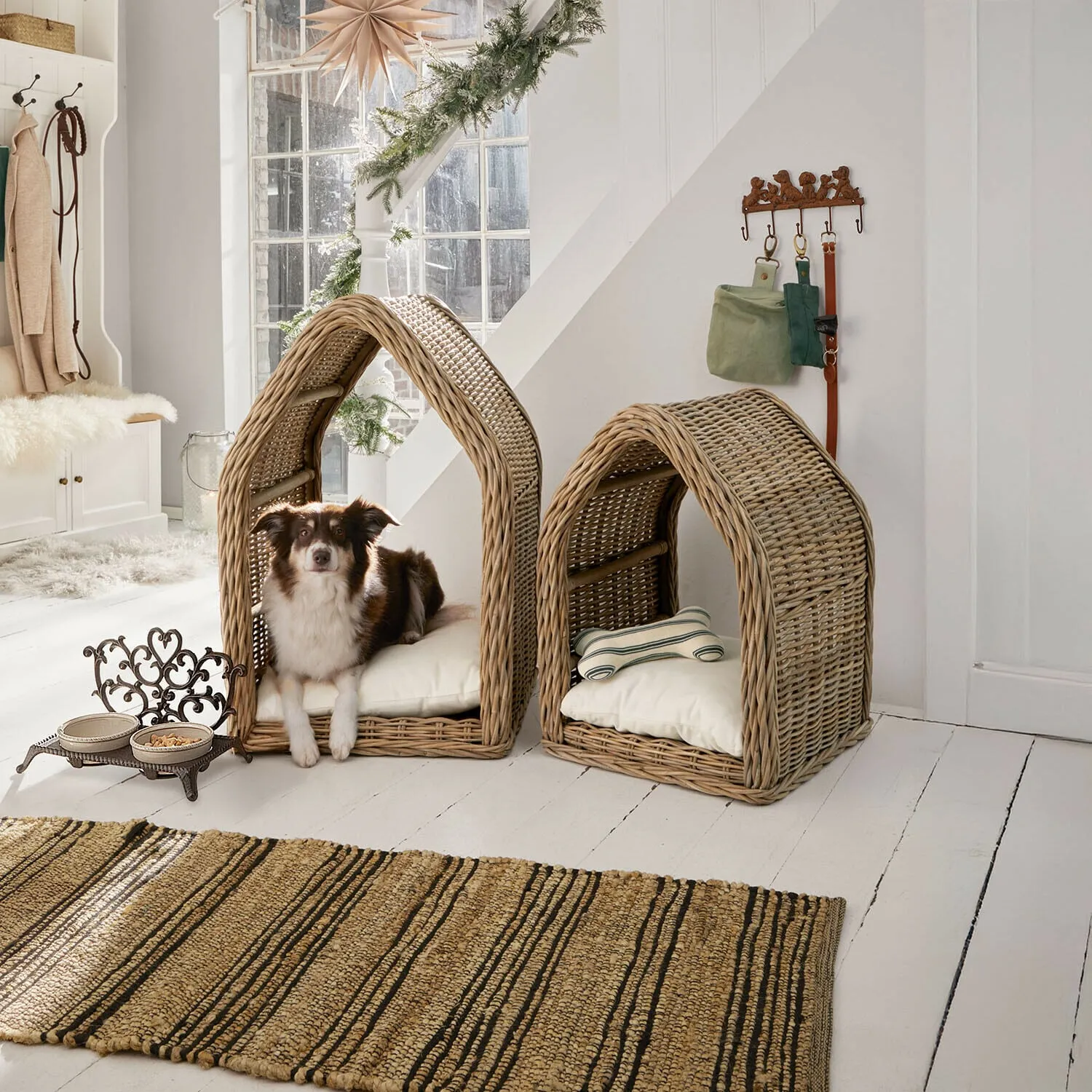 Hundehütte Muffan – Bild 5