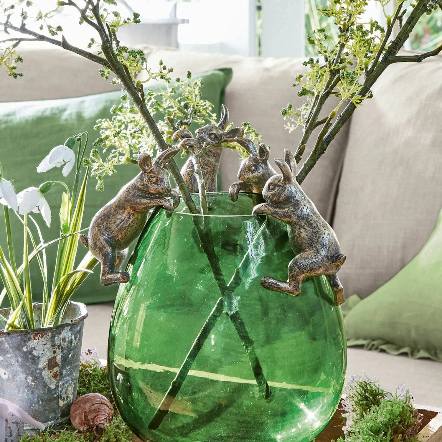 Hase 4er Set Lorie – Bild 4