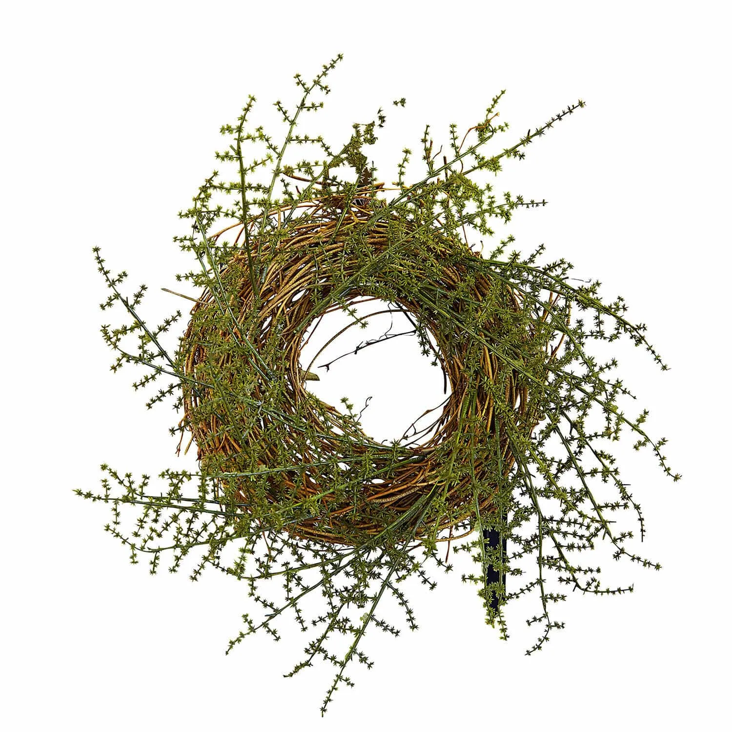 Kranz Helvique – Bild 3