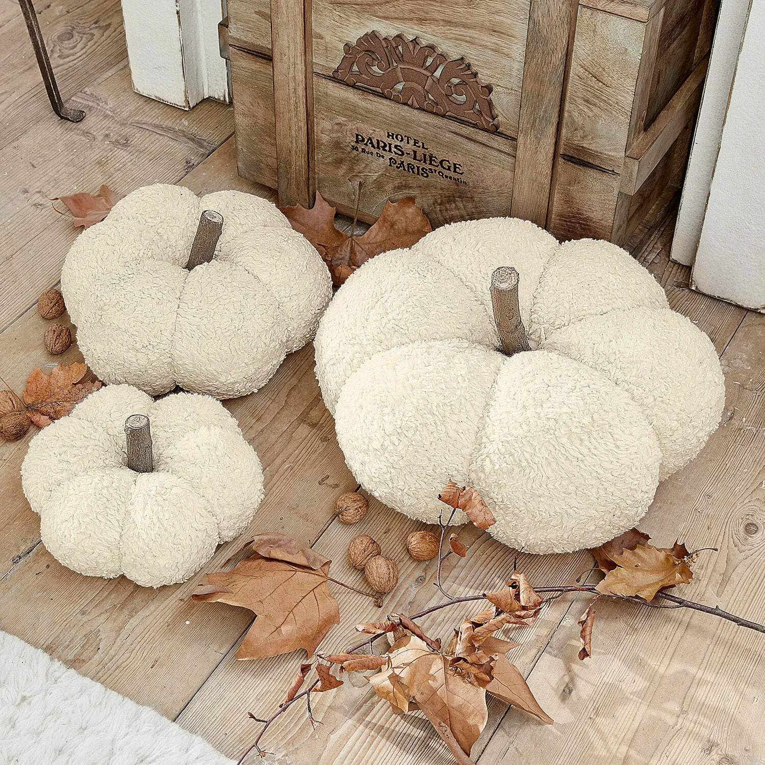 Kürbis 3er Set Benjamin – Bild 2