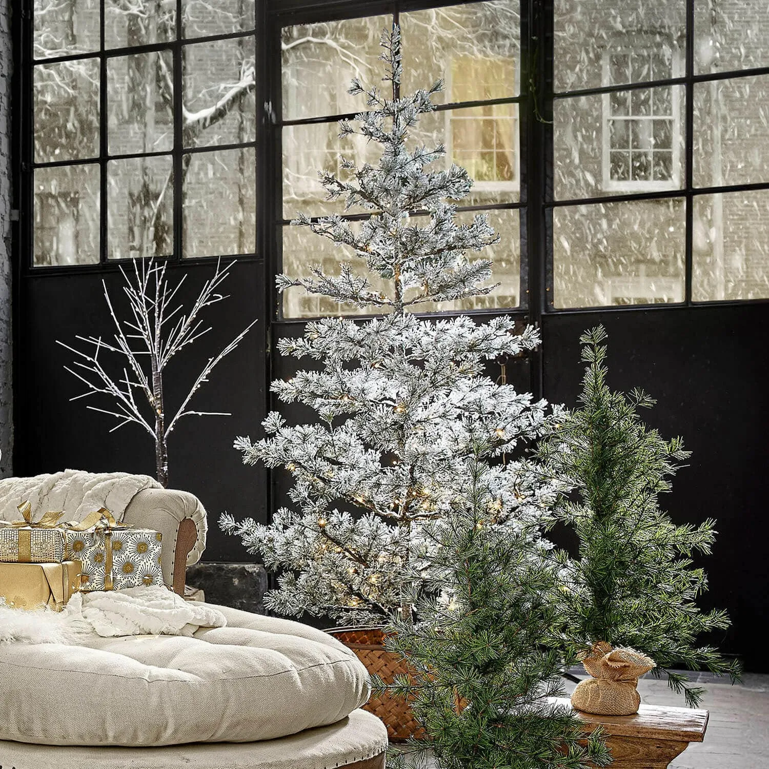 Weihnachtsbaum Sapi – Bild 5