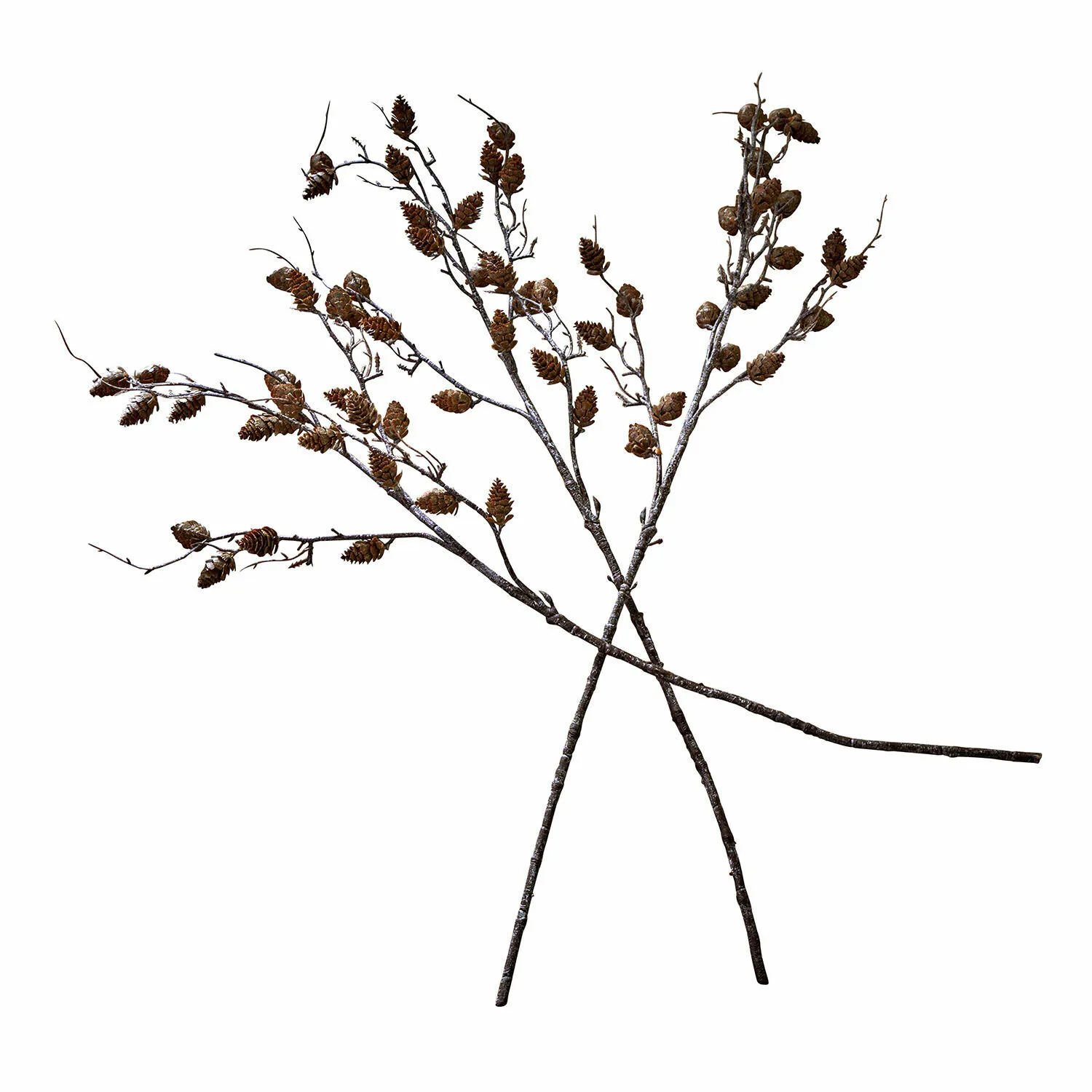 Deko-Ast 3er Set Eisvyn – Bild 3