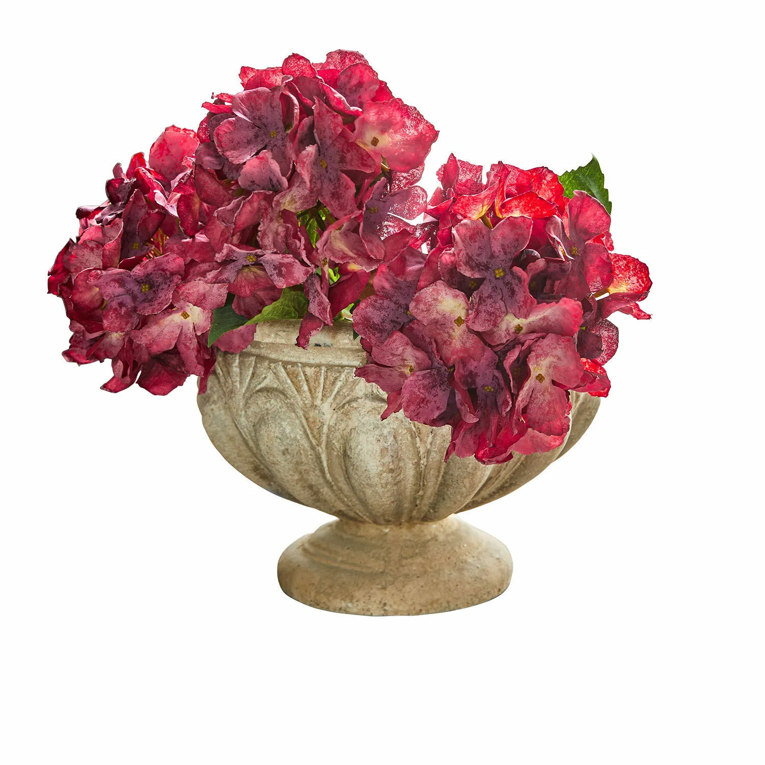 Amphore Orlida – Bild 3